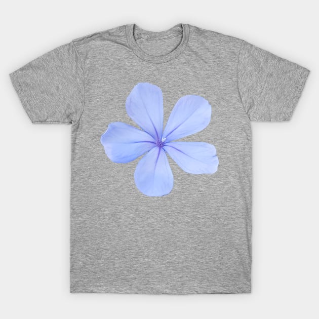 Blue Flower Photo T-Shirt by ellenhenryart